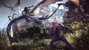Летающих монстров и арбалет добавили в  The Witcher 3 благодаря «партизанской деятельности» двух разработчиков