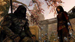 Для Skyrim вышел бесплатный мод, добавляющий добавляющий генерацию кадров DLSS