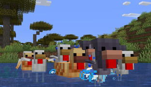 В Minecraft появились новые «адаптивные» курицы и яйца, а на кактусах раскрываются цветы. Mojang удивляет новинками