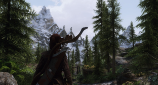 Создатель Skyrim признался, как экспериментами сломали игру до релиза — всему виной были проработанные бабочки и муравьи