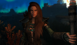 В Skyrim добавили нейросеть для оживления NPC с поддержкой русского языка — с персонажами можно свободно общаться