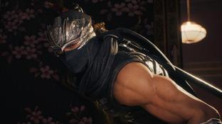 Team Ninja советует убрать интерфейс в Ninja Gaiden 2 Black для максимальной сложности