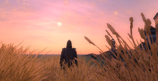 Инсайдер назвал релизное окно ремейка The Elder Scrolls 4 Oblivion и готов поставить на него $100