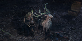 Разработчиков Path of Exile 2 засыпали «медалями клоуна» в Steam — они добавили донатные эффекты и наборы в APRG, а игроки требуют патчи