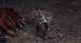 Авторы Path of Exile 2 вычислили группу ботов на Xbox и случайно лишили покупателей игры, когда блокировали доступ нарушителям