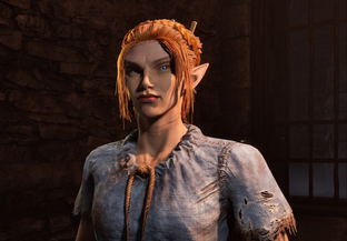Для The Elder Scrolls 4 Oblivion Remastered намерены сделать русскую озвучку, используя ИИ-инструменты