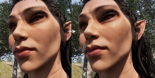 Создатель The Witcher 3 HD Reworked улучшает графику ремастера TES 4 Oblivion — начал с животов и женских бёдер