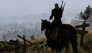 Авторы The Witcher 3 десять лет прятали на скриншотах существ, которых связывают с мифами и легендами о единорогах. CDPR раскрыла секрет