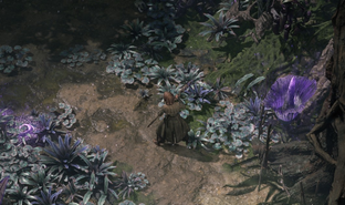 В Path of Exile 2 добавят 22 руны и амулеты — появились новые тизеры контента