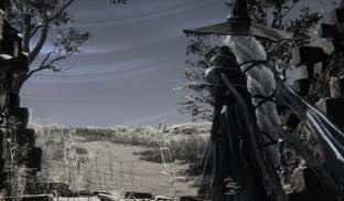 Игрок Elden Ring Nightreign собрал билд, превративший игру в аналог Vampire Survivors