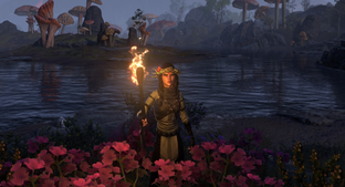 В The Elder Scrolls Online появилась поддержка модов на консолях