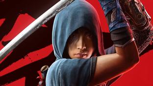 Спустя три месяца Ubisoft добавила базовую функцию с головным убором в Assassin’s Creed Shadows