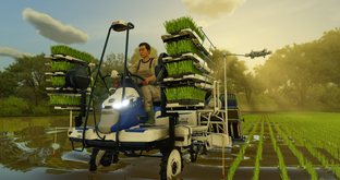 В Farming Simulator 25 появится лук и рыбалка в регионе в духе Шотландии