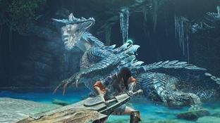Резкая критика со стороны фанатов Monster Hunter ударила по финансам Capcom