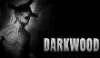 Польский хоррор Darkwood дебютирует на консолях