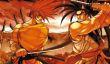 Обновлённый файтинг из 90-х Samurai Shodown выпустят в июне. Игровой процесс