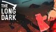 Продано 1,3 млн. копий The Long Dark. Игру экранизируют.