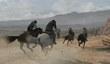 MP-трейлер Red Dead Redemption