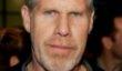 Matthew Perry, Ron Perlman, Felicia Day в Fallout: New Vegas