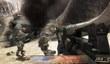 MP-шутер Modern Combat: Domination для PSN с поддержкой Move