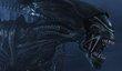Трейлер Aliens vs Predator