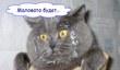 Котик об Xbox Live