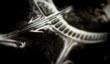 Е3 2010 video: Hunted: The Demon's Forge