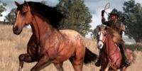 Лошади в Red Dead Redemption