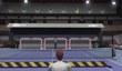 PS3-версия Virtua Tennis 4 с эксклюзивным контентом