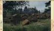 Трейлер Rise of the Samurai DLC для Total War: Shogun 2