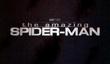 Подробности о The Amazing Spider-Man на VGA