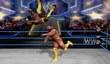 Randy Savage представляет WWE All Stars