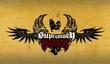 Трейлер Supremacy MMA