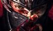 Более доступный Ninja Gaiden 3