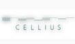 Ridge Racer для PS Vita делает Cellius