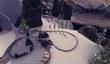 Особенности Wii-версии Tiger Woods PGA Tour 12: The Masters