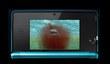 Jaws: Ultimate Predator для 3DS и Wii