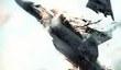 Ace Combat: Assault Horizon в продаже. Оценки