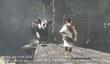 Тизер бонусного видео из ICO & Shadow of The Colossus Collection