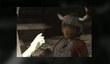The ICO & Shadow of the Colossus Collection в продаже