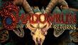Hairbrainded Schemes получила $1,8 млн. на Shadowrun Returns