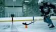 Рекламный ролик NHL 13