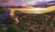 Три порции DLC для Tropico 4