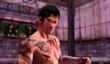 Sleeping Dogs: The Zodiac Tournament в продаже