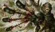 Soul Sacrifice: смерть в радость