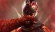 Ninja Gaiden 3: подробности об MP-составляющей