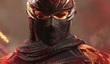 Патч для Ninja Gaiden 3 устранил проблему с online pass