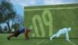 Nike+ Kinect Training в продаже