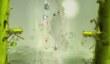 Демонстрация Rayman Legends 