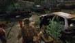 Прекрасные пустоши The Last of Us 